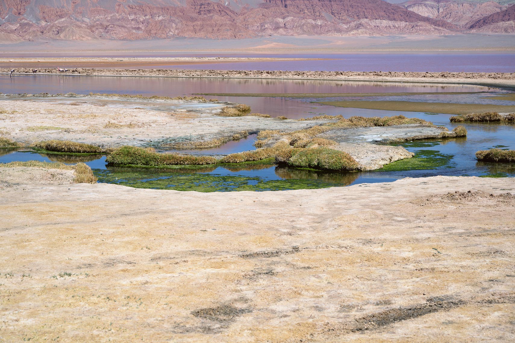 Argentina.APhoto-121